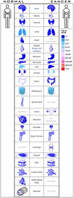 Prognostic Significance of Potential Immune Checkpoint Member HHLA2 in Human Tumors: A Comprehensive Analysis